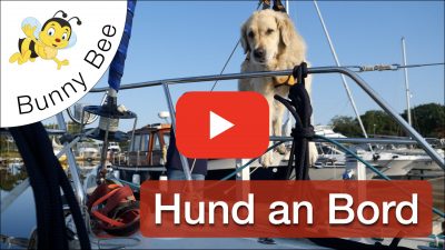 Thumbnail_Hunde_an_Bord_Videolink
